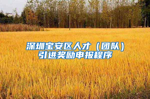 深圳宝安区人才（团队）引进奖励申报程序