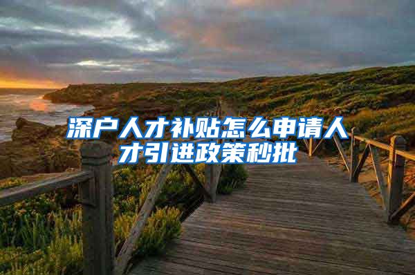 深户人才补贴怎么申请人才引进政策秒批
