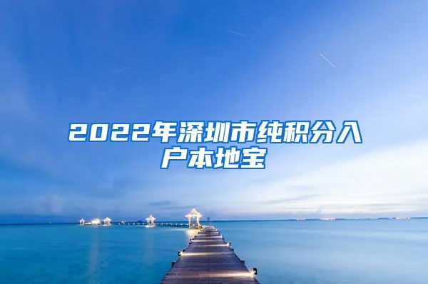 2022年深圳市纯积分入户本地宝