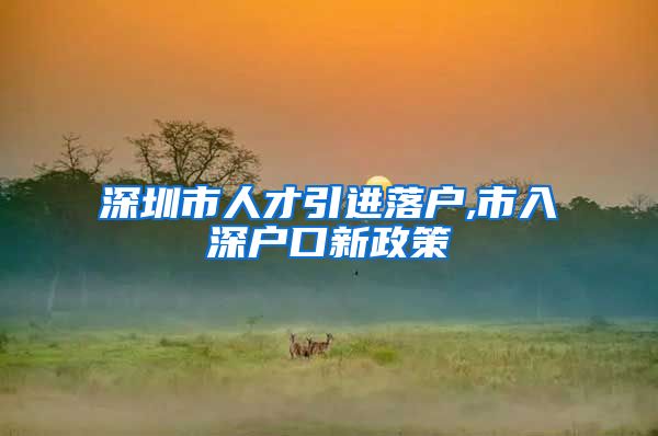 深圳市人才引进落户,市入深户口新政策