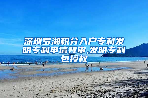 深圳罗湖积分入户专利发明专利申请预审,发明专利包授权