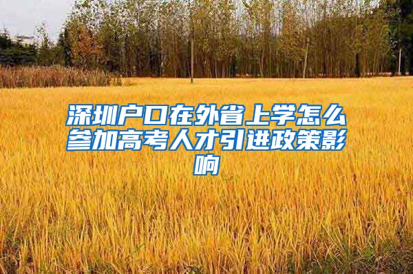 深圳户口在外省上学怎么参加高考人才引进政策影响