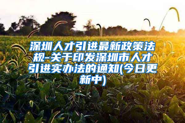 深圳人才引进最新政策法规-关于印发深圳市人才引进实办法的通知(今日更新中)