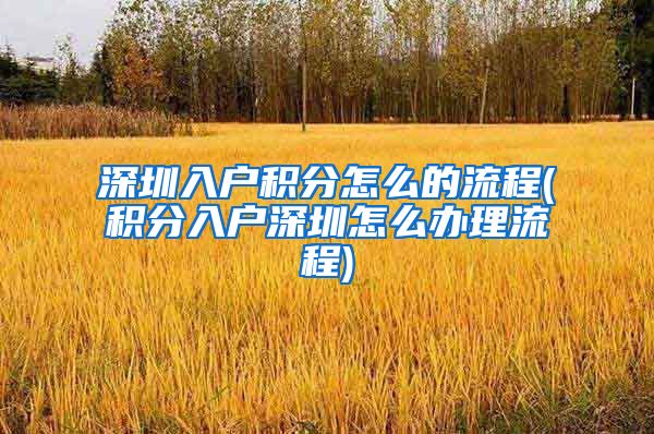 深圳入户积分怎么的流程(积分入户深圳怎么办理流程)