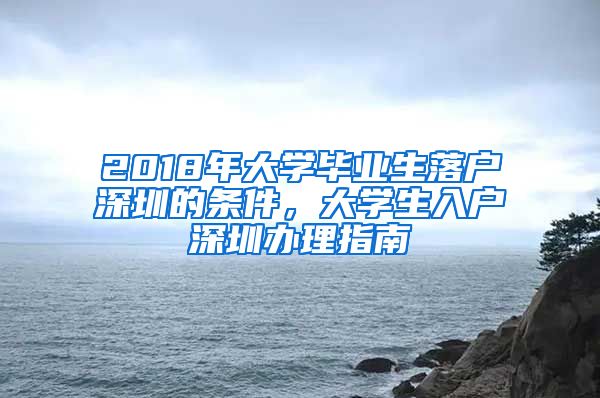 2018年大学毕业生落户深圳的条件，大学生入户深圳办理指南