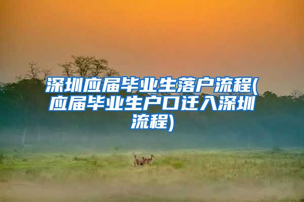 深圳应届毕业生落户流程(应届毕业生户口迁入深圳流程)