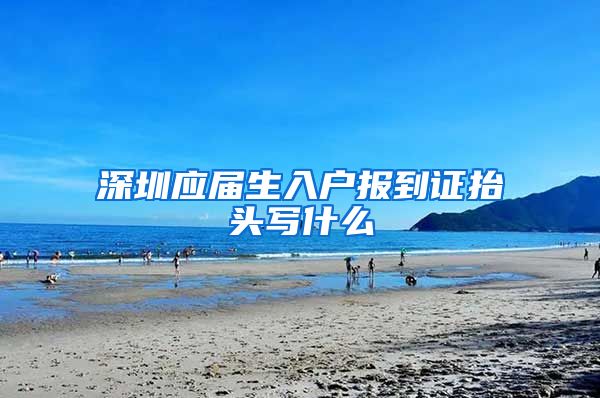 深圳应届生入户报到证抬头写什么