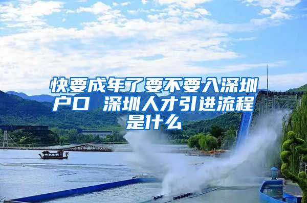 快要成年了要不要入深圳户口 深圳人才引进流程是什么