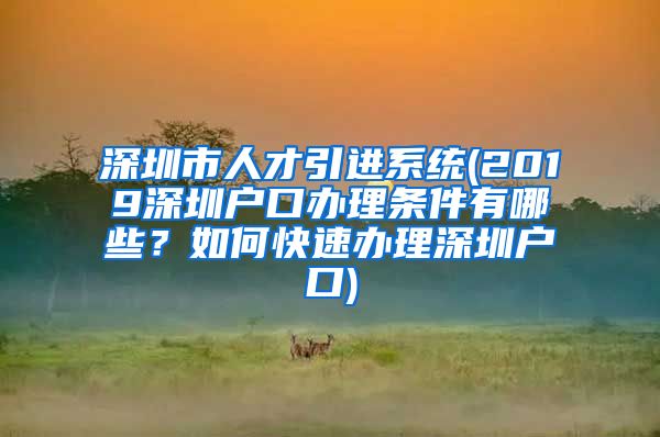 深圳市人才引进系统(2019深圳户口办理条件有哪些？如何快速办理深圳户口)