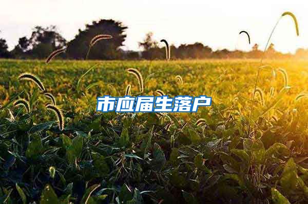 市应届生落户
