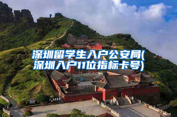 深圳留学生入户公安局(深圳入户11位指标卡号)