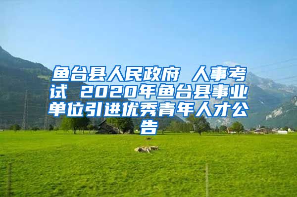 鱼台县人民政府 人事考试 2020年鱼台县事业单位引进优秀青年人才公告