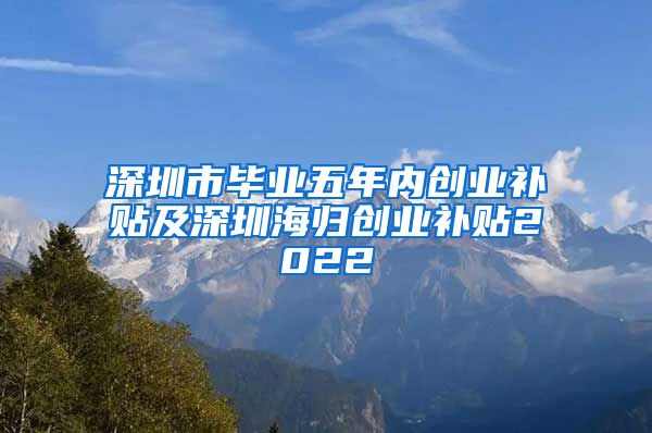 深圳市毕业五年内创业补贴及深圳海归创业补贴2022