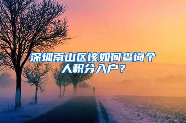 深圳南山区该如何查询个人积分入户？