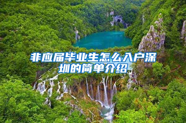 非应届毕业生怎么入户深圳的简单介绍