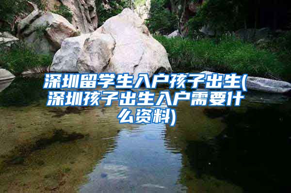 深圳留学生入户孩子出生(深圳孩子出生入户需要什么资料)