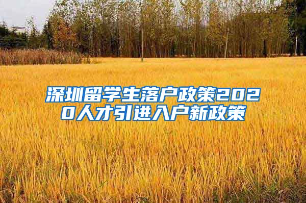 深圳留学生落户政策2020人才引进入户新政策