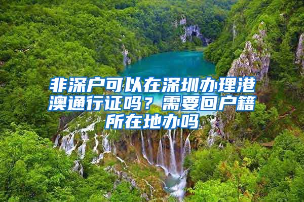 非深户可以在深圳办理港澳通行证吗？需要回户籍所在地办吗