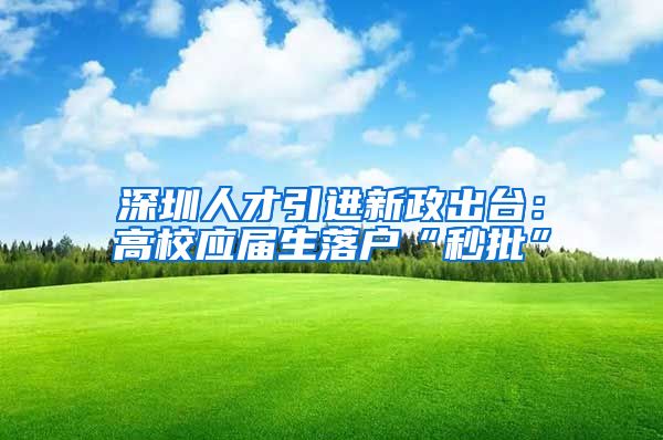 深圳人才引进新政出台：高校应届生落户“秒批”