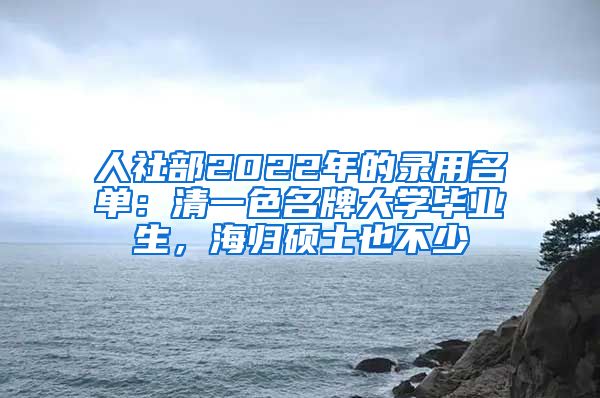 人社部2022年的录用名单：清一色名牌大学毕业生，海归硕士也不少