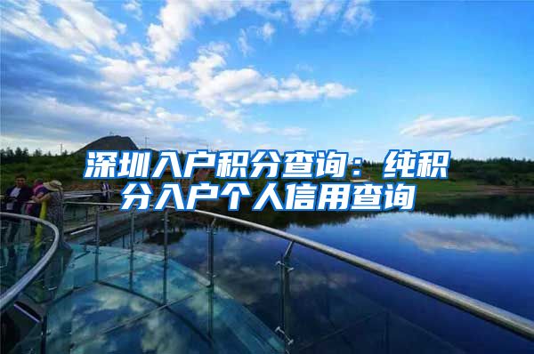 深圳入户积分查询：纯积分入户个人信用查询