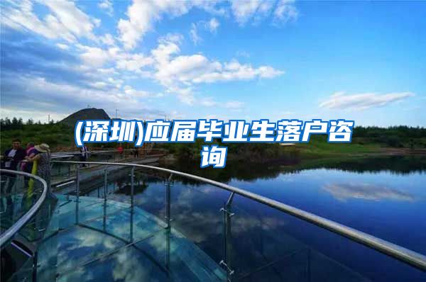 (深圳)应届毕业生落户咨询