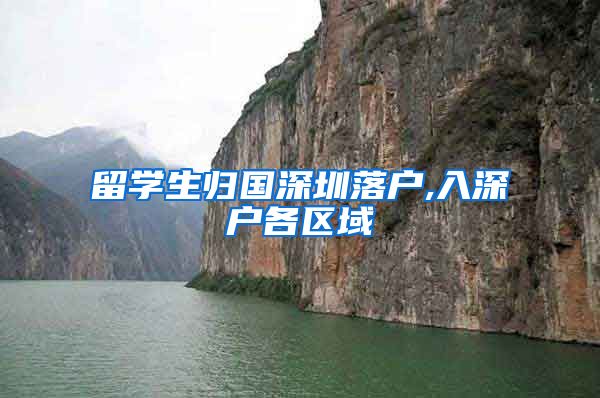 留学生归国深圳落户,入深户各区域