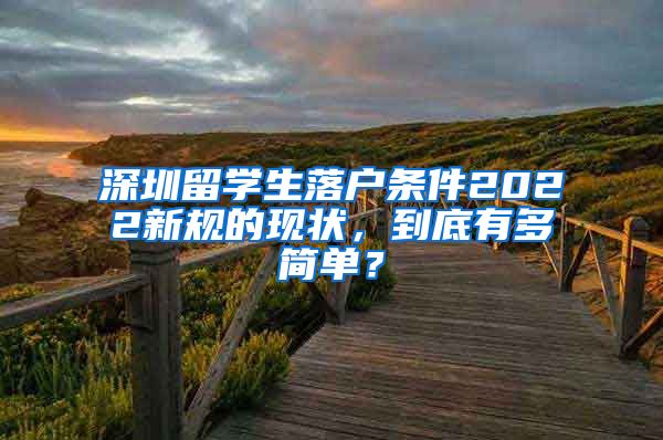 深圳留学生落户条件2022新规的现状，到底有多简单？
