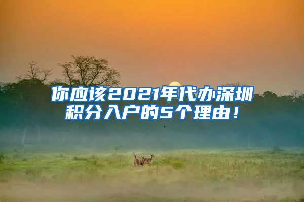 你应该2021年代办深圳积分入户的5个理由！
