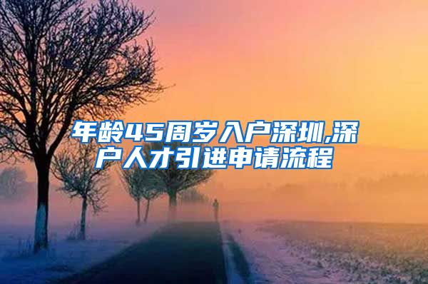 年龄45周岁入户深圳,深户人才引进申请流程