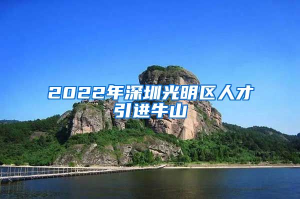 2022年深圳光明区人才引进牛山