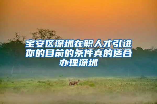 宝安区深圳在职人才引进你的目前的条件真的适合办理深圳