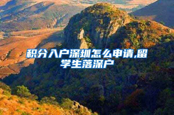 积分入户深圳怎么申请,留学生落深户