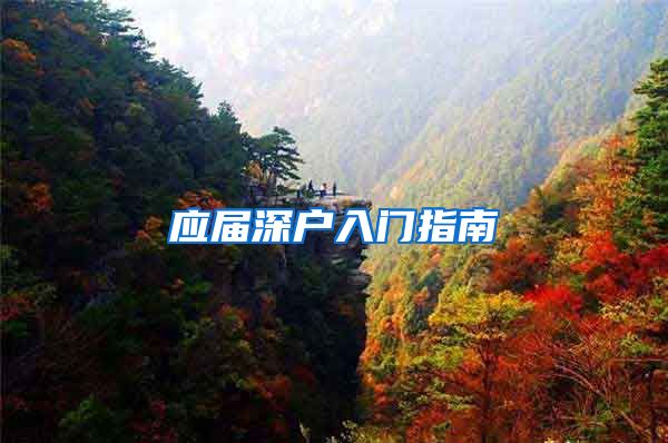 应届深户入门指南