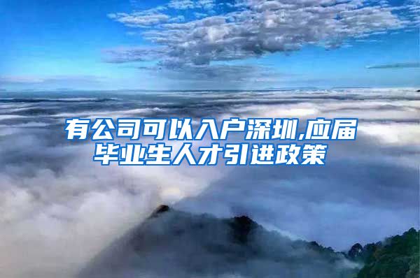 有公司可以入户深圳,应届毕业生人才引进政策