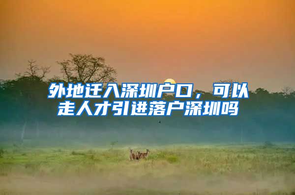 外地迁入深圳户口，可以走人才引进落户深圳吗