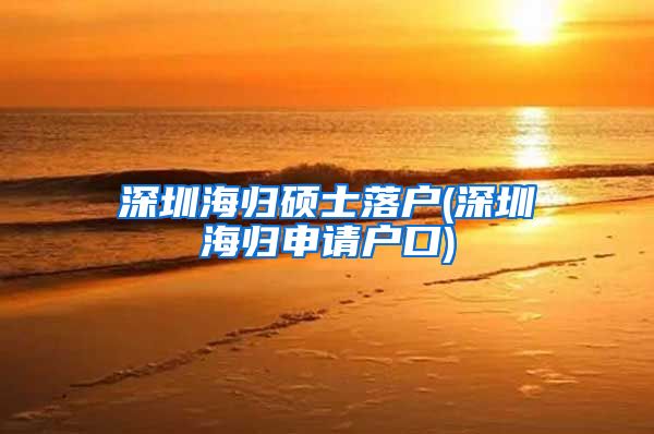 深圳海归硕士落户(深圳海归申请户口)