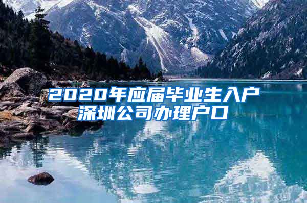 2020年应届毕业生入户深圳公司办理户口