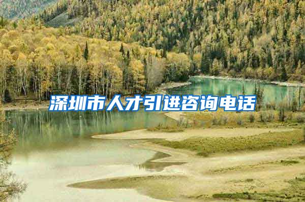 深圳市人才引进咨询电话