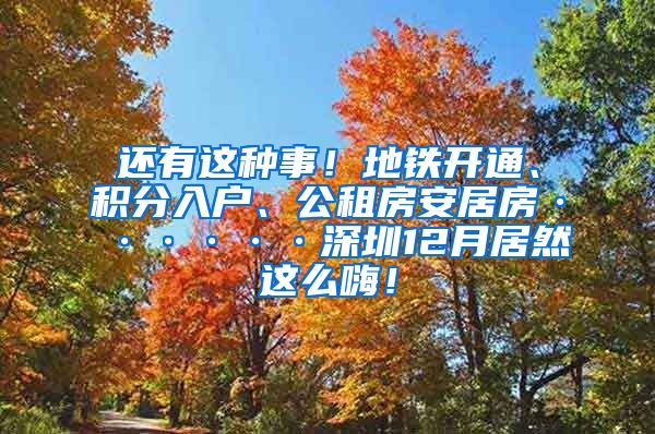 还有这种事！地铁开通、积分入户、公租房安居房······深圳12月居然这么嗨！