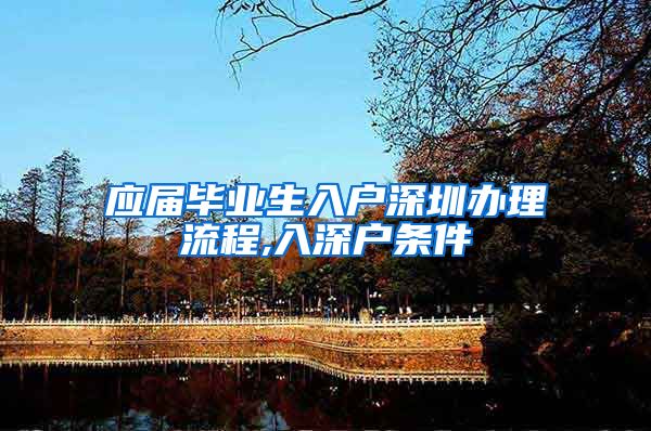应届毕业生入户深圳办理流程,入深户条件