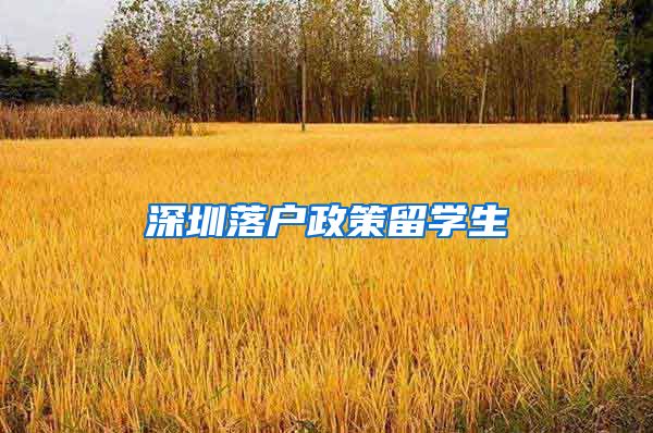 深圳落户政策留学生