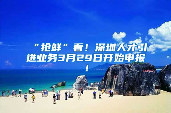 “抢鲜”看！深圳人才引进业务3月29日开始申报！