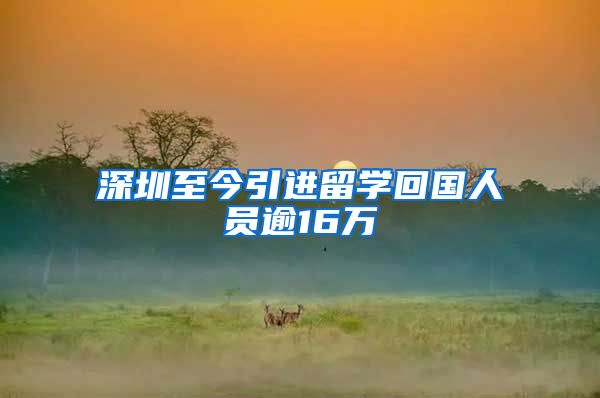 深圳至今引进留学回国人员逾16万