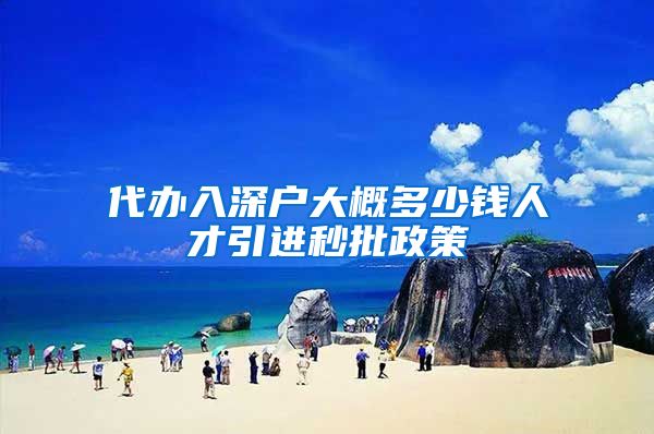 代办入深户大概多少钱人才引进秒批政策