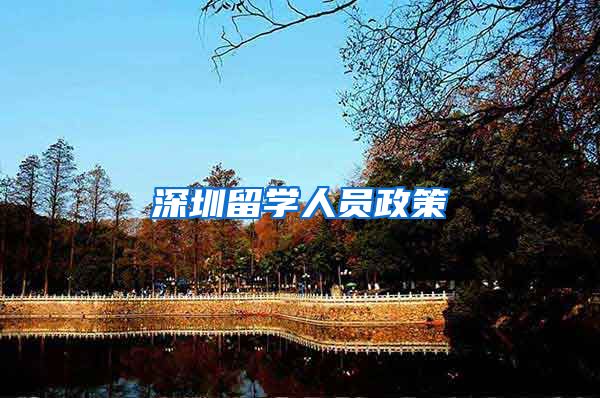 深圳留学人员政策