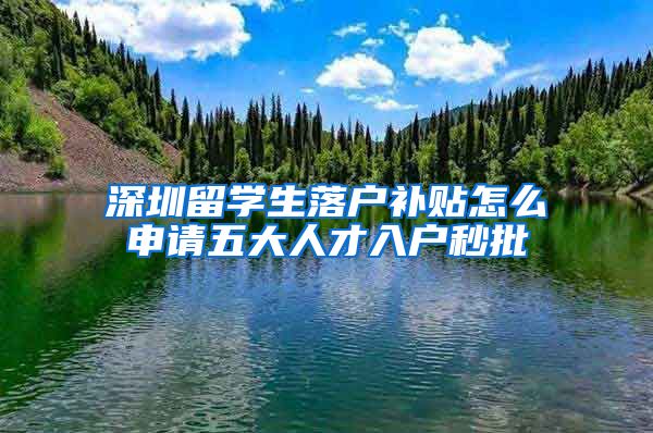 深圳留学生落户补贴怎么申请五大人才入户秒批