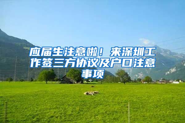 应届生注意啦！来深圳工作签三方协议及户口注意事项