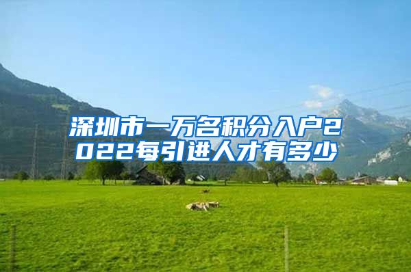 深圳市一万名积分入户2022每引进人才有多少