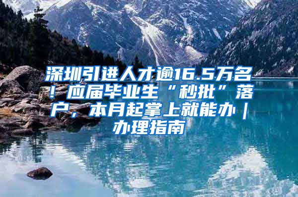 深圳引进人才逾16.5万名！应届毕业生“秒批”落户，本月起掌上就能办｜办理指南